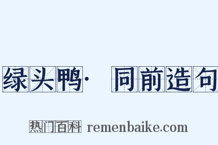 绿头鸭·同前造句是什么意思的图片